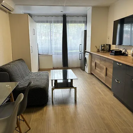 Balcon Des Arenes Apartament